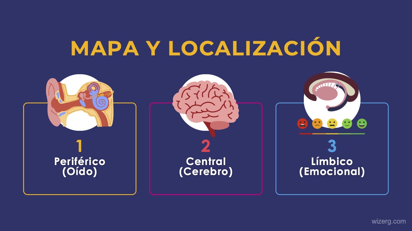 AMAVI - Diseño de Presentación - Vista 1