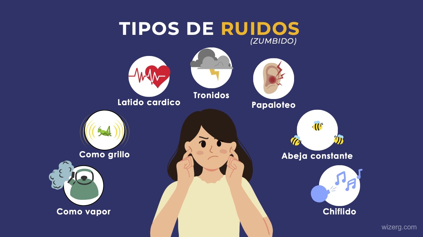 AMAVI - Diseño de Presentación - Vista 2