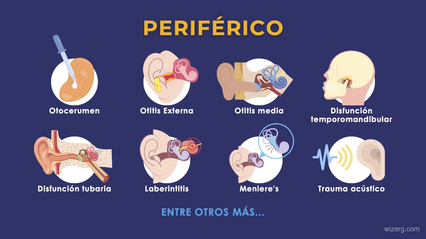 AMAVI - Diseño de Presentación - Vista 3