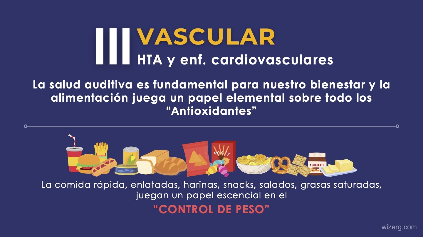 AMAVI - Diseño de Presentación - Vista 4