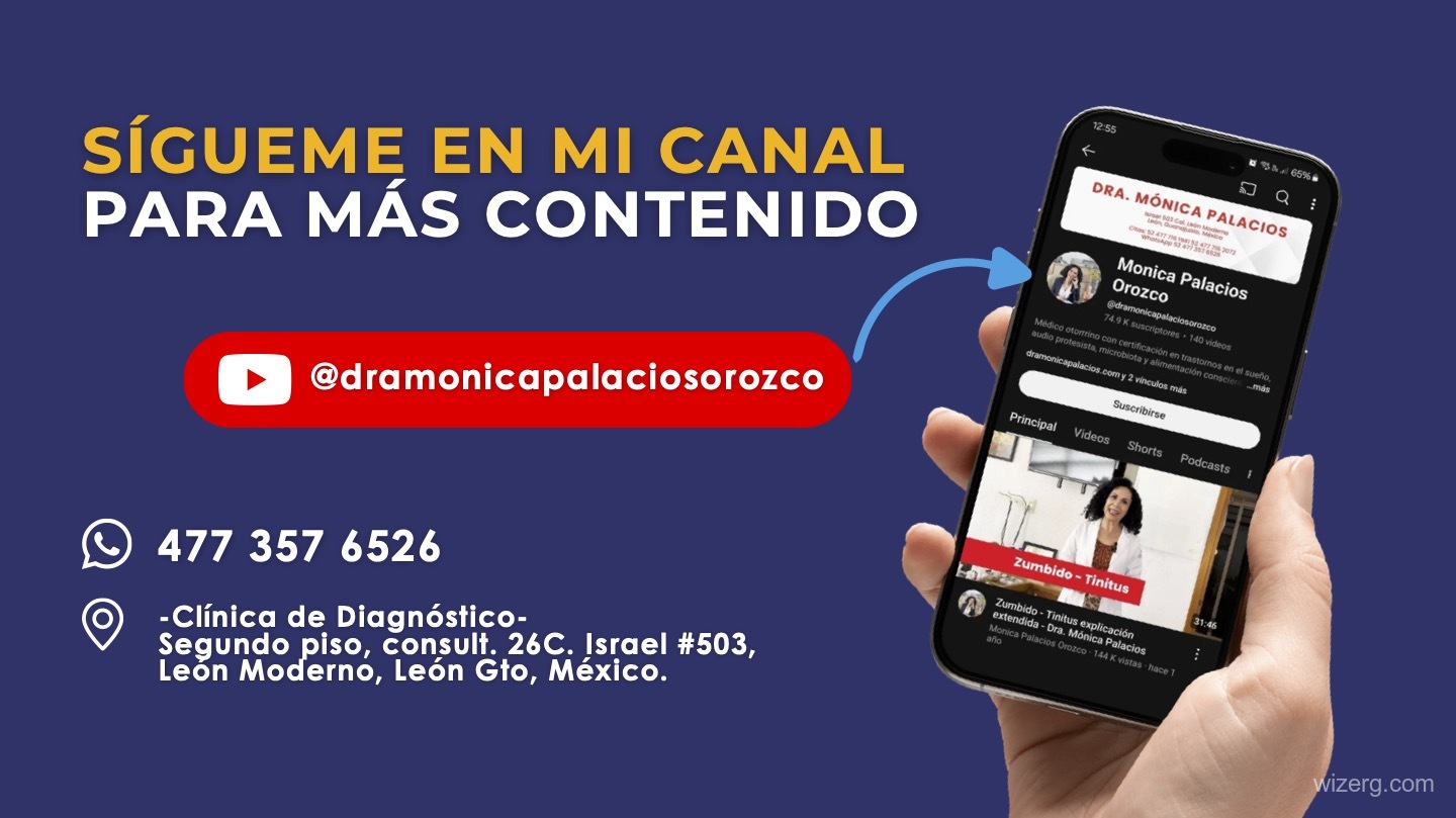 AMAVI - Diseño de Presentación - Vista 5