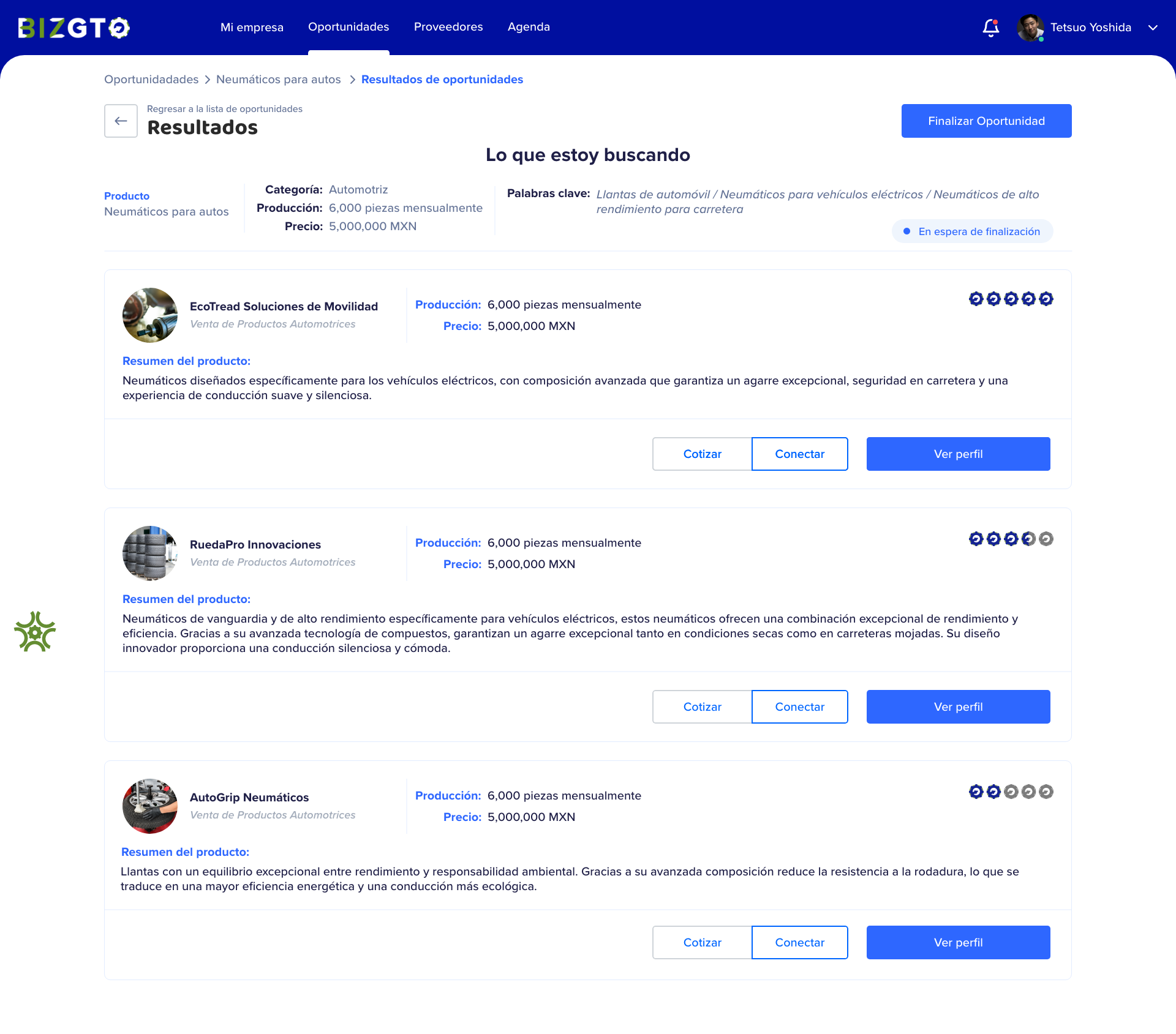 BizGTO - Plataforma de Inteligencia de Negocios - Vista 4